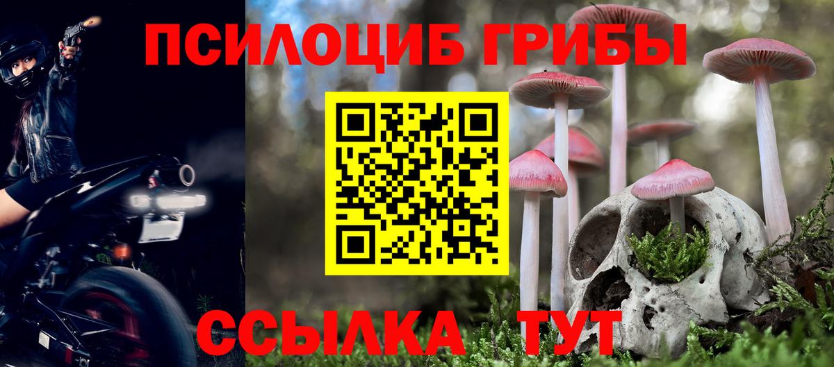 Псилоцибиновые грибы MAGIC MUSHROOMS Сухой Лог